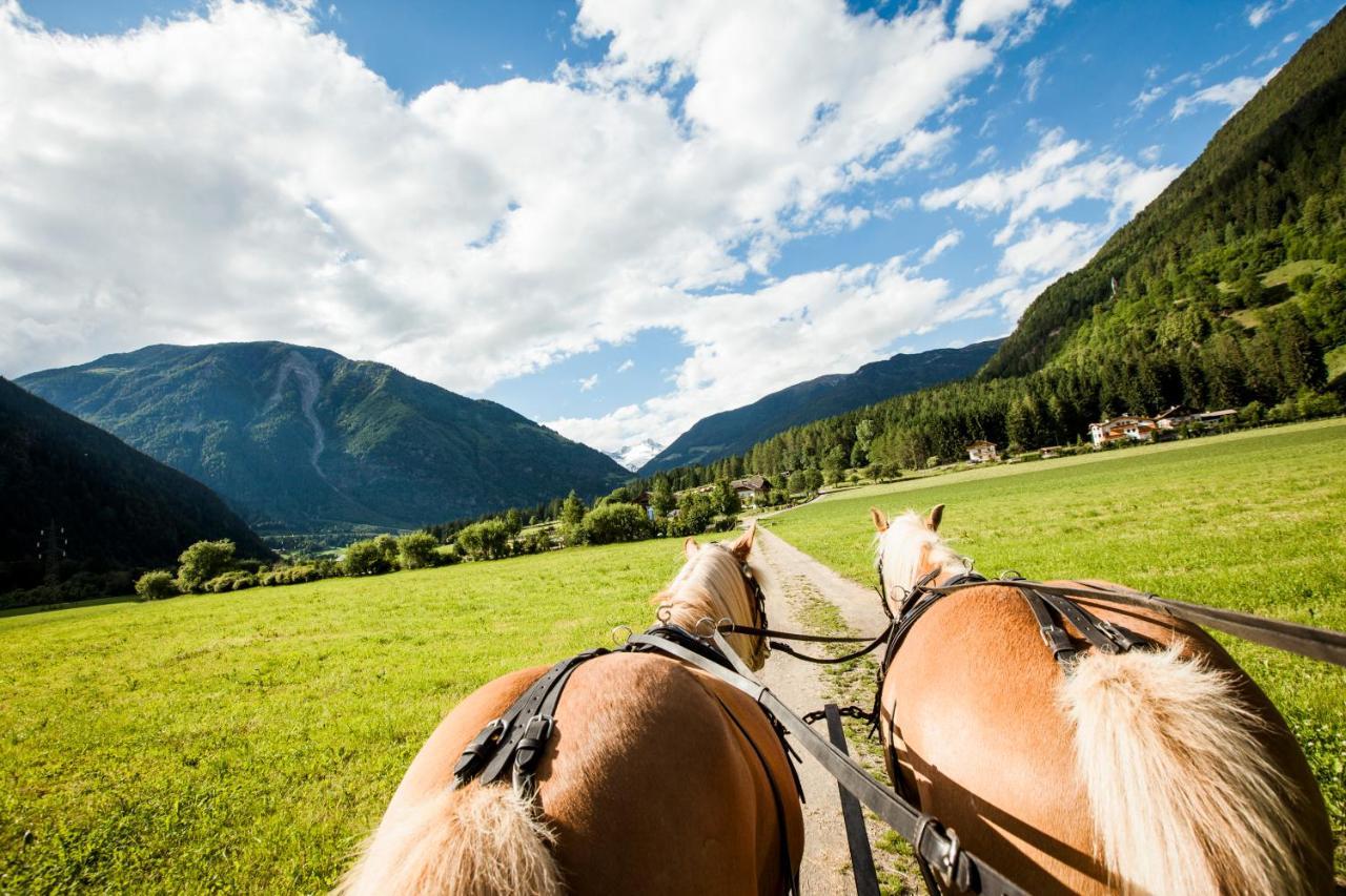 Hotel Fronza - Your Hike & Mountain Home Lutago Eksteriør bilde